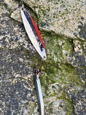 290d3a28-b8f0-4eb1-a0c9-367f0fec1baf.jpeg 290d3a28-b8f0-4eb1-a0c9-367f0fec1baf.jpeg