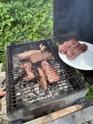 IMG_5406.jpeg IMG_5406.jpeg