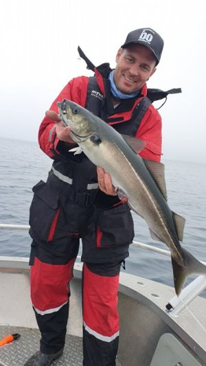 20250720_123412.jpg 20250720_123412.jpg