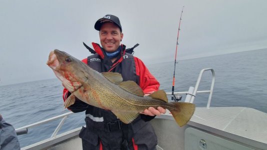 20250720_121706.jpg 20250720_121706.jpg