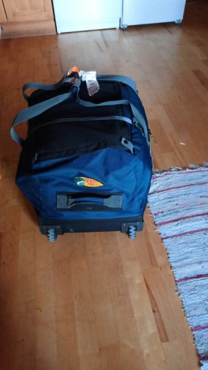 IMG-20250720-WA0016.jpeg