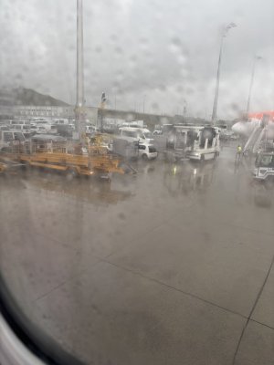 IMG_5517.jpeg IMG_5517.jpeg