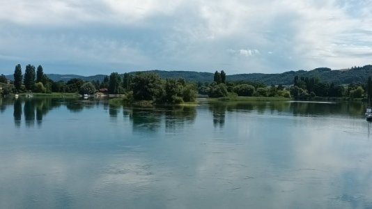 20250721_130545.jpg