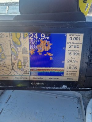 IMG-20250722-WA0000.jpg IMG-20250722-WA0000.jpg