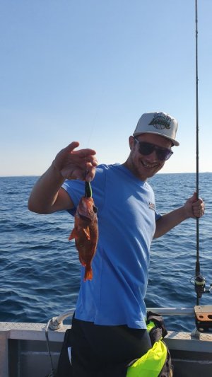 20250721_170933.jpg 20250721_170933.jpg