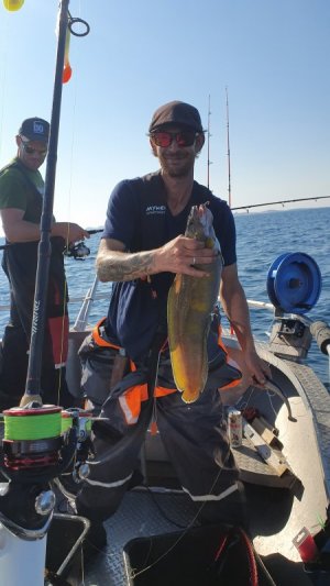 20250721_165751(0).jpg 20250721_165751(0).jpg