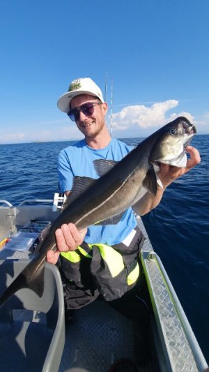 20250721_165505.jpg 20250721_165505.jpg