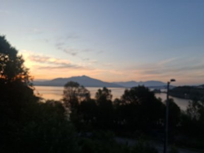 20250722_015943.jpg