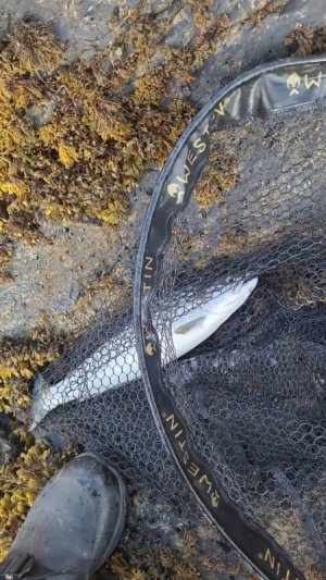 IMG-20250722-WA0005.jpg IMG-20250722-WA0005.jpg