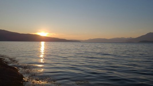 IMG-20250722-WA0006.jpg IMG-20250722-WA0006.jpg