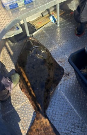 20250723_090931.jpg 20250723_090931.jpg