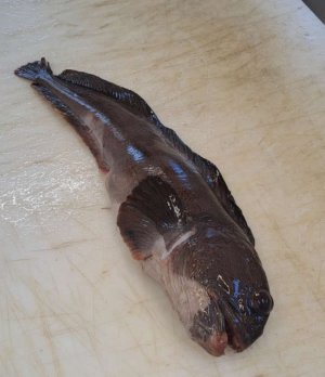 20250723_090953.jpg 20250723_090953.jpg