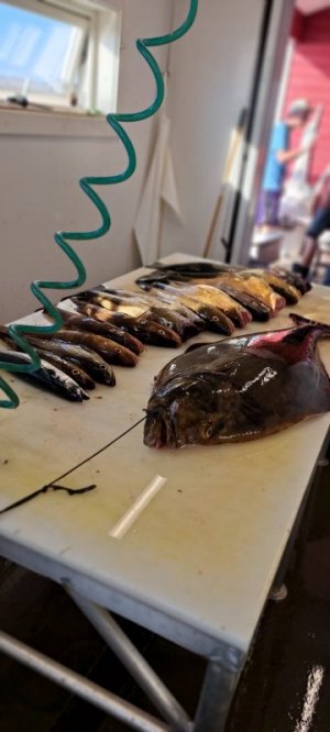 IMG-20250722-WA0020.jpg IMG-20250722-WA0020.jpg