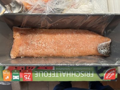 IMG_5545.jpeg IMG_5545.jpeg