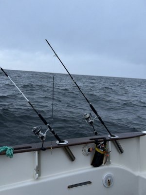 IMG_0325.jpeg