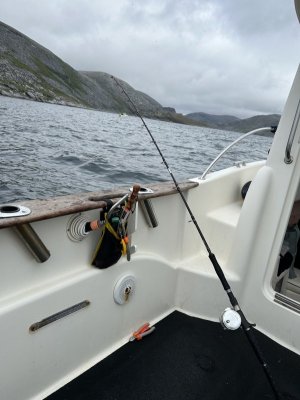 IMG_0741.jpeg