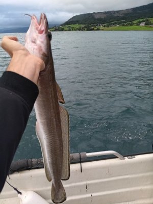 WhatsApp Bild 2025-07-26 um 12.22.06_32bc49ee.jpg