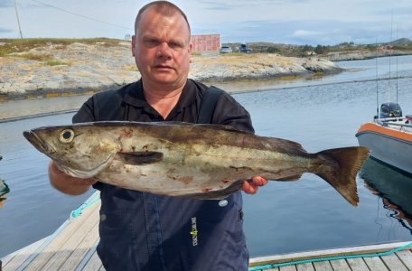 20250726_151329.jpg 20250726_151329.jpg