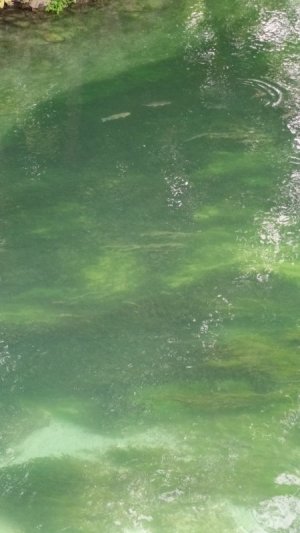20250726_125835.jpg