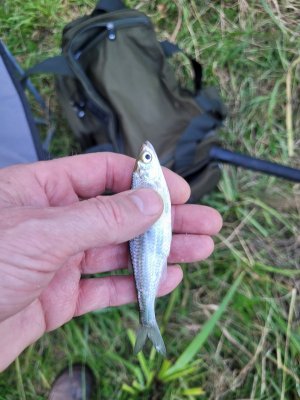 20250724_205331.jpg 20250724_205331.jpg