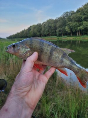 20250724_210933.jpg 20250724_210933.jpg