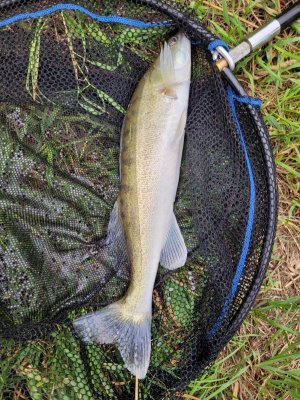 20250725_182626.jpg 20250725_182626.jpg