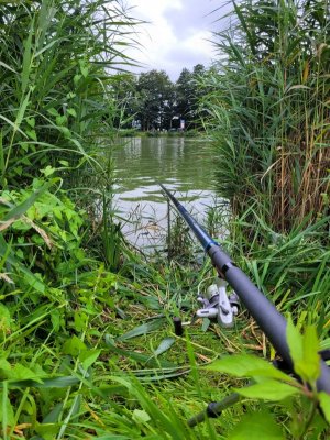 20250725_193740.jpg 20250725_193740.jpg