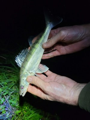 IMG-20250725-WA0010.jpg IMG-20250725-WA0010.jpg