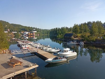 IMG_20250721_083036_924.jpg