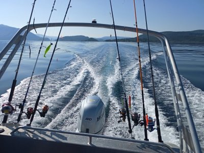 IMG_20250722_100148_922.jpg IMG_20250722_100148_922.jpg