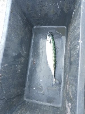 IMG_20250723_091924_857 (1).jpg