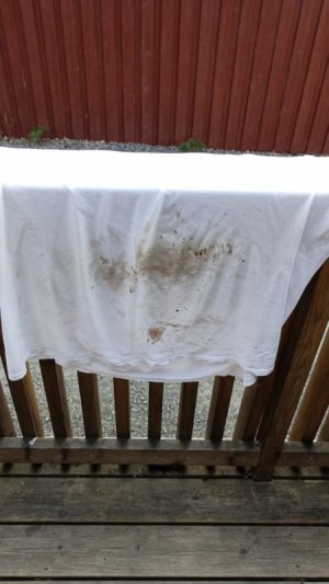 IMG-20250724-WA0022 (1).jpeg