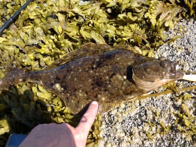 CIMG3211.JPG CIMG3211.JPG