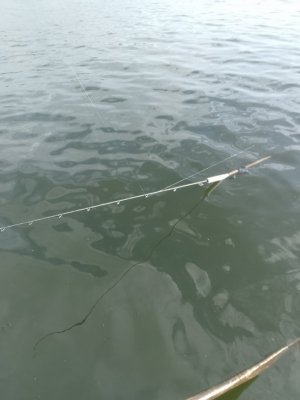IMG_20250507_184001.jpg