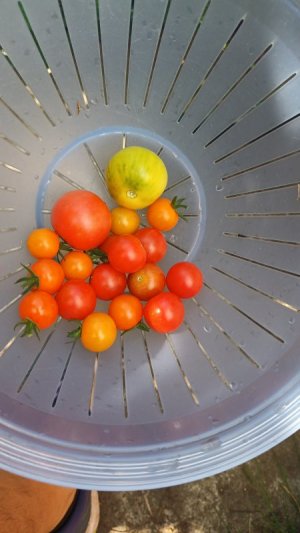 IMG-20250730-WA0013.jpeg IMG-20250730-WA0013.jpeg