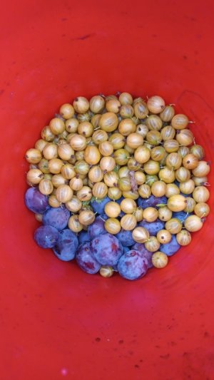 IMG-20250730-WA0017.jpeg