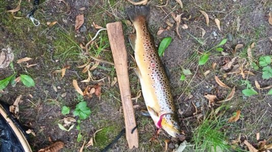 20250730_183753.jpg 20250730_183753.jpg