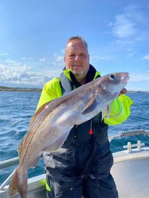 IMG-20250729-WA0000.jpg IMG-20250729-WA0000.jpg