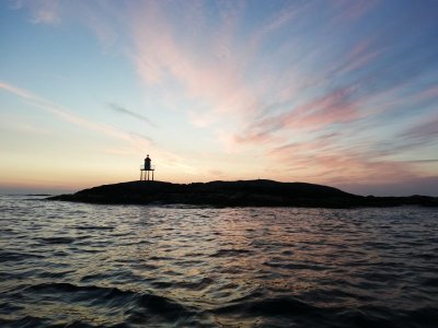 IMG_20250727_225045.jpg IMG_20250727_225045.jpg