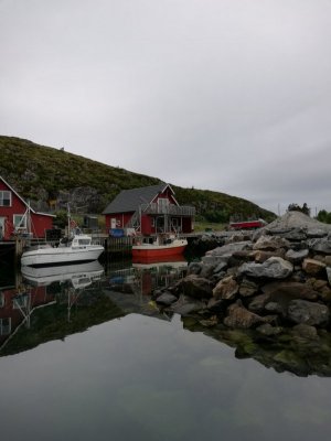 IMG_20250725_092941.jpg