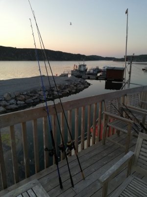 IMG_20250723_231515.jpg IMG_20250723_231515.jpg