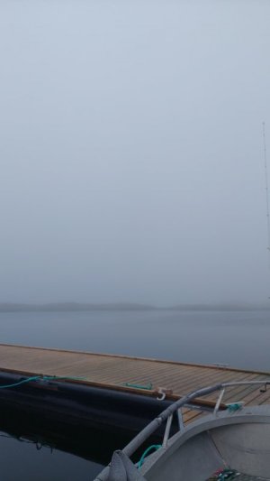 20250731_051625.jpg 20250731_051625.jpg