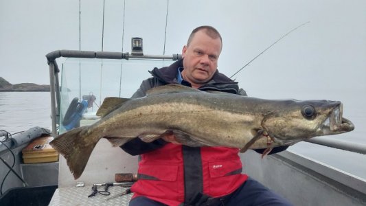 20250801_043104.jpg 20250801_043104.jpg