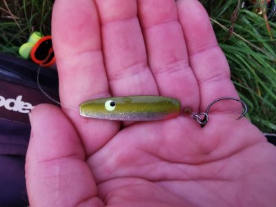 IMG-20250802-WA0000.jpg IMG-20250802-WA0000.jpg