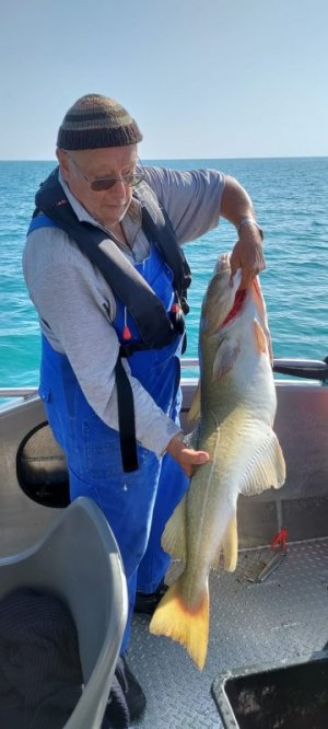 Dorsch 2.jpg Dorsch 2.jpg