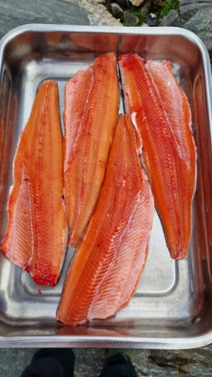 IMG-20250803-WA0009.jpg IMG-20250803-WA0009.jpg