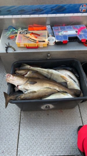 IMG_9460.JPG