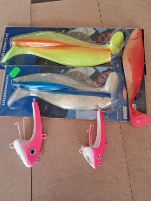 1000039263.jpg 1000039263.jpg