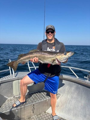 IMG-20250723-WA0019.jpg IMG-20250723-WA0019.jpg