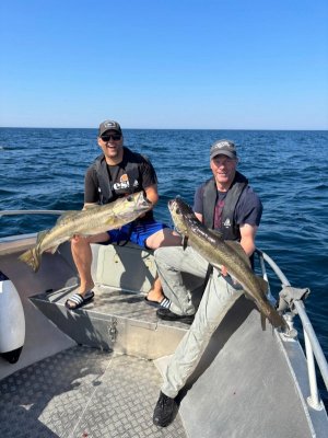 IMG-20250723-WA0020.jpg IMG-20250723-WA0020.jpg